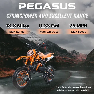49cc Pocket Gas Mini Bike Kids Off-Road Motorcycle Under 40km/h LA Fast Delivery