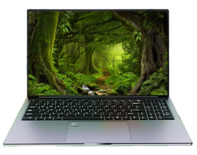 Customized OEM 15.6 Inch Laptop with N VIDIA GTX1060 4GB for Gaming Laptop Intel Celeron N95 Notebook