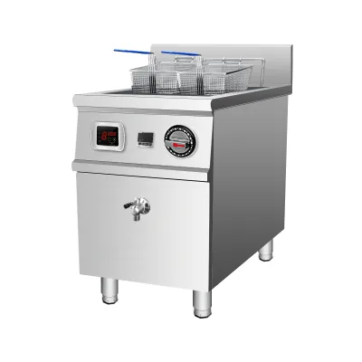 30L 5000W Double Tank Electric Deep Fryer for Restaurant Fast Food Commercial Stainless Steel Fryer with Front Oil Drain Taps