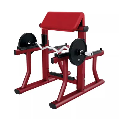 Commercial Preacher Curl Bench Professional Arm Curl Training Equipment for Biceps Workout in Fitness Club Bodybuilding Training