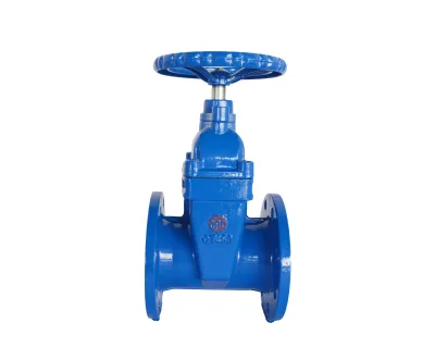 Manufacturer Factory Direct Sale Ductile Iron Concealed Stem Gate Valves with Rubber Soft Seal Water and Oil Media Use
