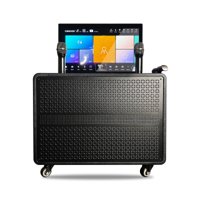 2024 Outdoor 10-inch 6-in-1 Professional Karaoke Jukebox