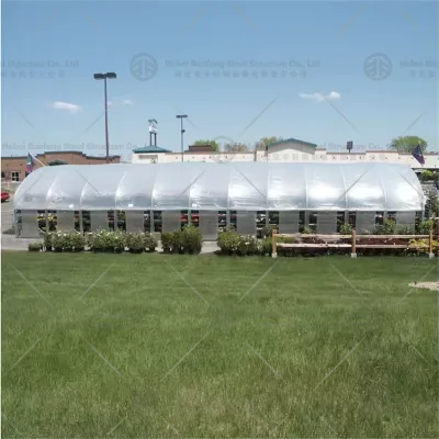 Prefabricated Tunnel Glass Garden Green House Single Span Greenhouse with Factory Price