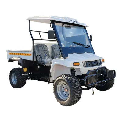 Automatic Road Street Legal Utv 4x4 Electric 2 Seater Farm Utvs with EEC