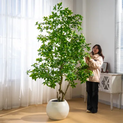 Tall Artificial Pieris Japonica Tree, Wood Grain Trunk with Lush Foliage in Heavy Duty Planter, Nordic Style Commercial Decor