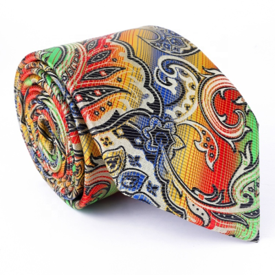 Fashion Floral Neck Ties for Men OEM Necktie Striped Paisley Supplier Cheap Necktie Woven Custom Polyester Ties