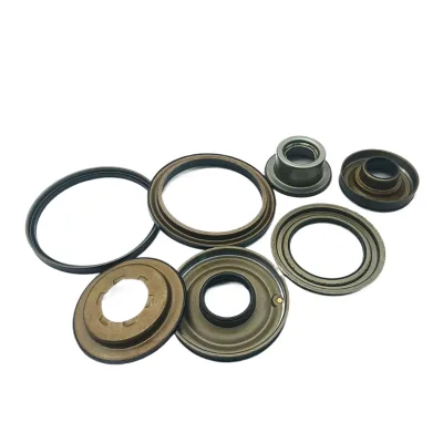 DIVITIAE Brand New 01M 01N Automatic Transmission Piston Kit Piston Repair Kit For EuroVan Polo Golf A3