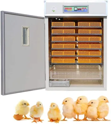 Hot Selling 1000 Chicken Eggs Hatching Machine Commercial Incubator Fully Automatic for Sale