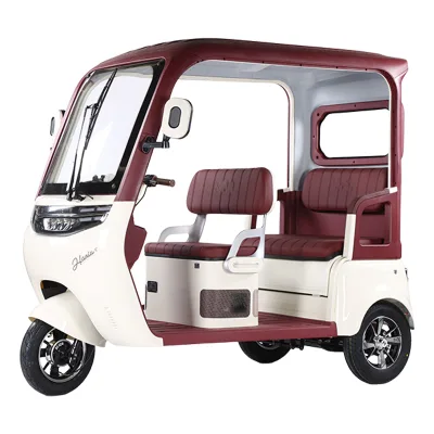 High Quality Open Body Electric Three-Wheel Bike with Rainproof Canopy 200-300kg Payload & 30-50km/h Speed for Passenger Use