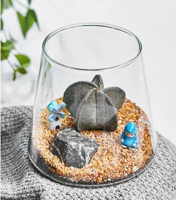 Glass Planter - Unique Mini Terrarium for Plants - Cute Hydroponic Indoor Planters Gifts for Women Room