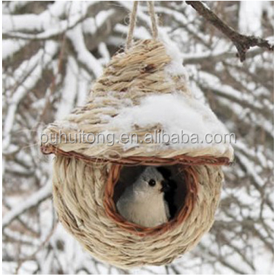 Finch Bird Nest