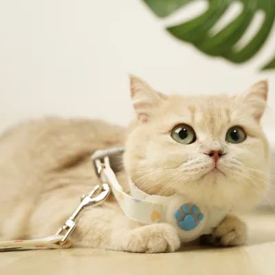 Waterproof Airtag Cat Collar With Luminous Reflective Pattern and Hidden GPS Tracker Holder With Retractable Dog Cat Leash