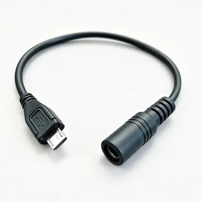 17cm Micro USB Male to DC 5.5*2.1 Female Power Conversion Cable