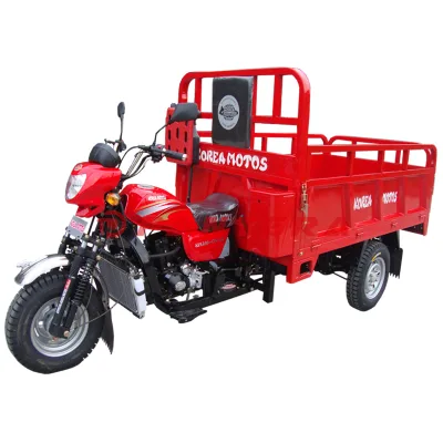 Africa Market 200cc Cheap Motor Tricycle Triciclo Motocar Motocarro Mototaxi