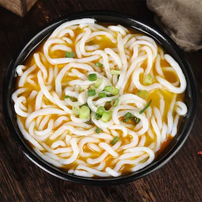 Authentic Japanese Shirataki Udon Noodles Low-Fat Konjac Pasta Kosher Certified in Individual Boxes for Asian Cuisine