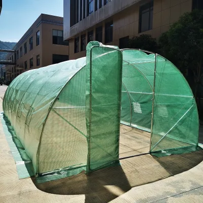 6x3x2m Hot Sale Foldable Growing Room Small Greenhouse Plastic Shed Single-Span Greenhouse for Strawberry