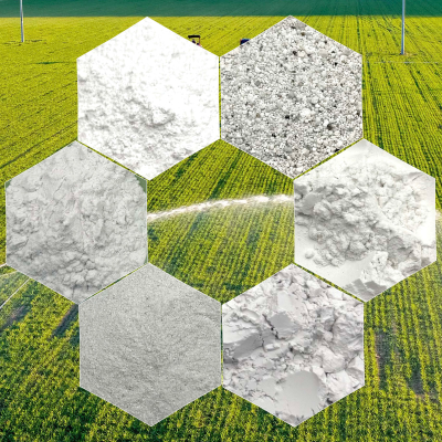 China Manufacturer Calcined Diatomaceous Earth for Catalyst Carrier Chemical Industry Support Material Diatomaceous Earth