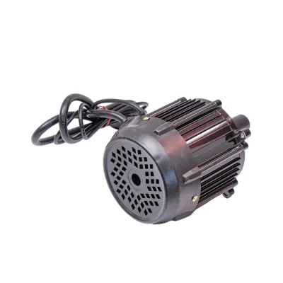 High Performance and Quality Tricycle Motor Brushless DC Electric Motor 48V 1000W Tricycle Motor