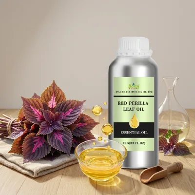 Wholesale Price Pure Natural Perilla Leaf Essential Oil With Wholesale Price for Aroma, Skin Care, Hair Care & Massage