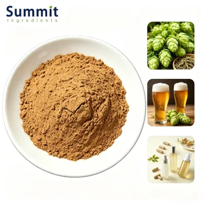 Wholesale Hops Flower Extract Powder Flavones 5% UV