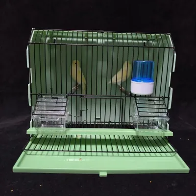 Display Cage Photo Cage Bird Exhibition Cage with Metal Frame No Closure for Canary Parrot