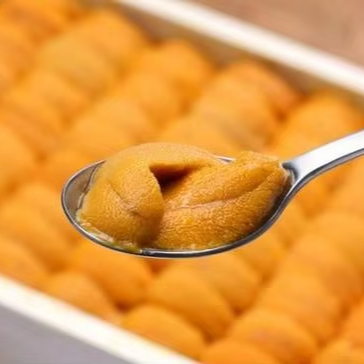 Hot Selling Premium Sea Urchin Roe Seafood Excellent for Creating Signature Dishes and Culinary Experiences