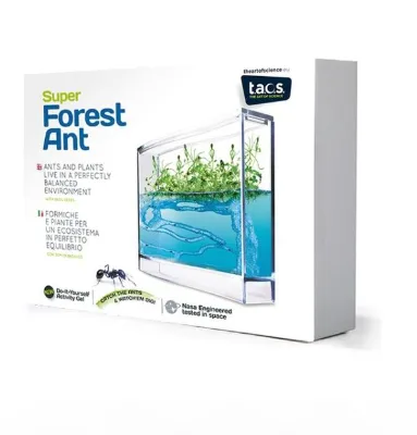 Antquarium Modern Indoor/Outdoor Terrarium Kit Floor Pot for Home Decoration Planting for Flowers