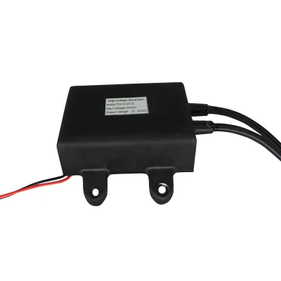 Tianwang 24V High Power Car Heater Igniter High Voltage Arc 1.5A Current 5-8mm Igniting Distance for Bus Truck Engine Preheating