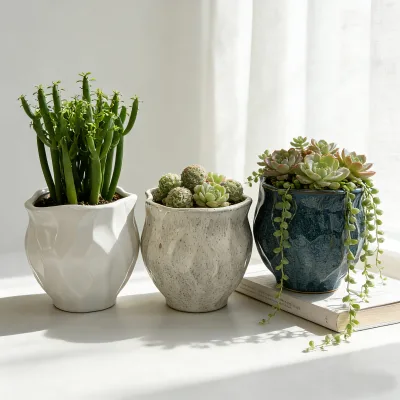 White Blue Cream Creative Ceramic Pots for Plants Eco-friendly Colorful Glazed Unique Design Tabletop Vase Flower Pot