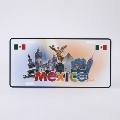 Professional Custom Logo Embossed Registration Plates Manufacturer, Vehicles Embossing Number Plate, High Security License Plate