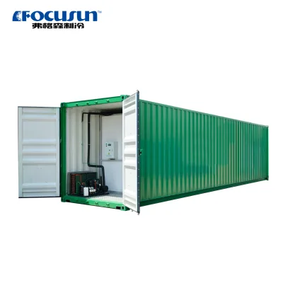 Industrial Containerized Cold Room 20ft/40ft Custom Size for Logistics & Agriculture Storage