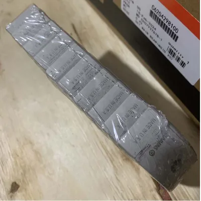 Main Shaft Bearing/C6204298100