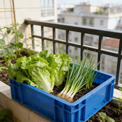 QS Durable Blue Plastic Balcony Planting Box Garden Vegetable Growing Crate Home Hydroponics Lettuce Container