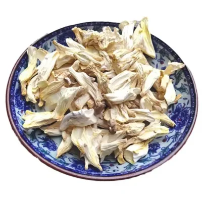 Hot Sale High Quality Pleurotus Eryngii King Oyster Mushroom Fresh Dried Whole Fungus From Wild Source for Food Use