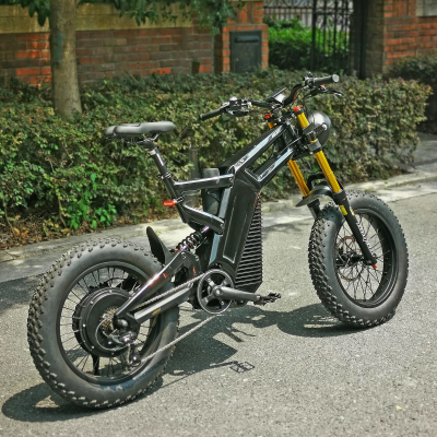 3000W Elektro Motorrad | Carbon Fiber Electric Motorcycle with Hydraulic Brake System