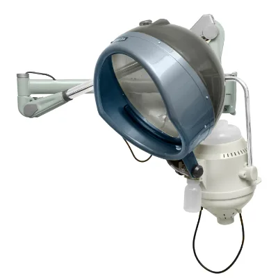Hot Sale Equipment 650W Hair Salon Professional Hood Dryer Wall Mounted Hair Steamer
