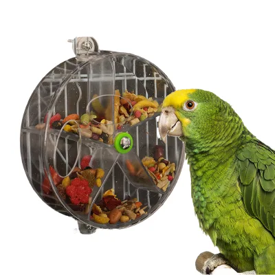 Foraging Bird Toy and Automatic Plastic Bird Feeder for Parrots Featuring Acrylic Bowl Outdoor Usage Water Application