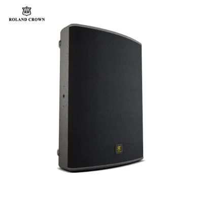 Professional Roland Crown X15 15 Inch Coaxial 450W 18mm Plywood Concert Outdoor Event Monitor Audio Speaker
