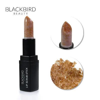 High Quality Private Label Multi Flavors Exfoliating Lip Scrub Lightening Whitening Deep Cleansing Lip Scrub With Tube