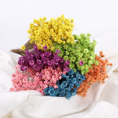 Dried Flowers Wedding  Preserved Baby's Breath Bouquet Multiple Colors Gypsophila Dried Lavender Flowers Natural Dried Flower