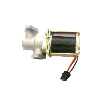China Factory Price Gas Stove Hob Solenoid Valve Spare Parts