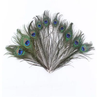 Peacock Feather for Vase Decoration Longest 80-100cm