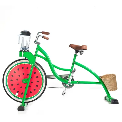 EXI Stationary  One  Wheel Bicycle Physical Engine Industrial Custom Exercise  Blender Bike