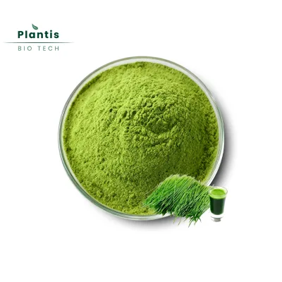 Organic Pure Barley Grass Juice Extract Food Grade Nutrient Enhanced Barley Grass Powder