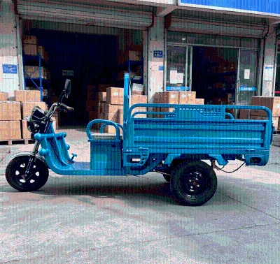 Wholesale Export Electric 3-Wheeler With Reverse Gear Three Speeds Adjustment 800W for Commercial Transportation
