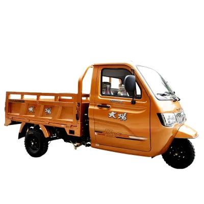 2021 Hot Selling Chinese Cargo Trimoto 250cc Closed Cabin Motor Tricycle 3 Wheel for Adult Car Passenger Gasoline Motor