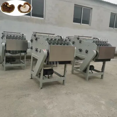 High Shelling Rate Automatic Cashew Shelling Machine Cashew Processing Equipment