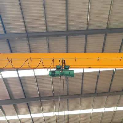 Best Quality Brand 10 Ton New Design Brand Monorail Bridge Crane for Sale