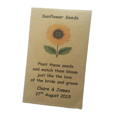 7*10cm White and Kraft Coin Small Envelope With Your Logo Design