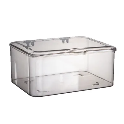 GREENSIDE Flip-top PET Minimalist Style Desktop Storage Box Transparent Organizer for Tea Sets Wine Glasses Makeup/mask Storage